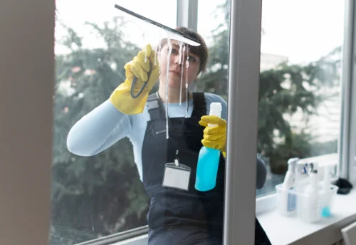 Nettoyage de vitres intérieures et extérieures à Loyat